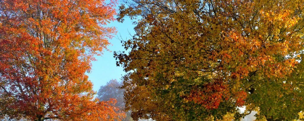 Colorful trees surround a country road in eastern Pennsylvania.
